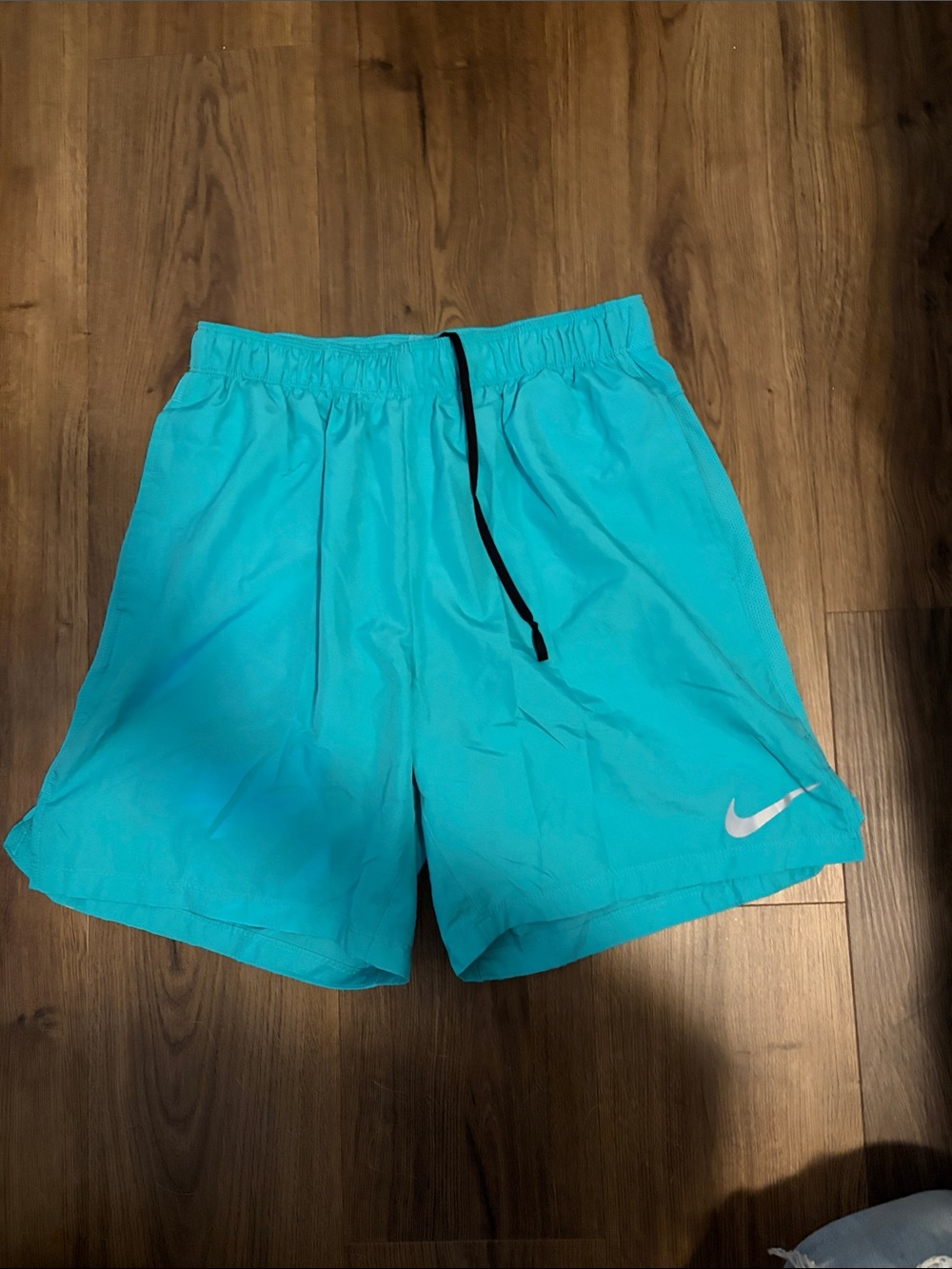 Nike Teal/Turquoise Athletic Shorts with Drawstring